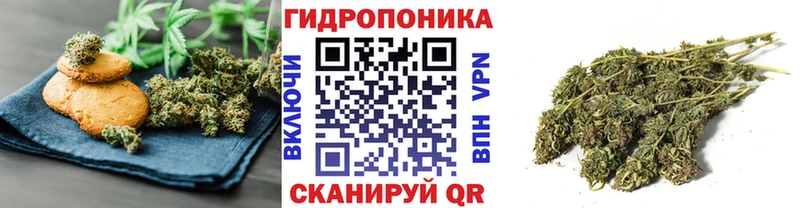 Cannafood конопля  кракен зеркало  Кировград 