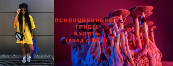 не бодяженный Каменск-Шахтинский