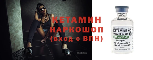 сатива Белая Холуница