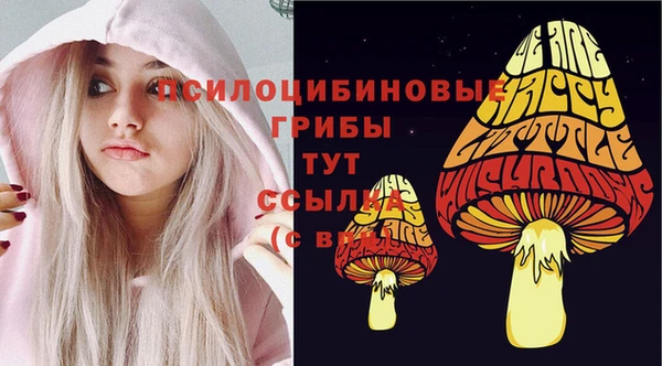 молекула духа Инта