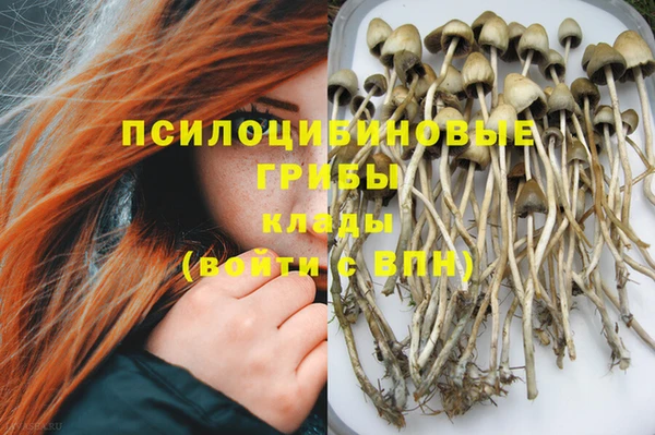 кокаин перу Каменногорск