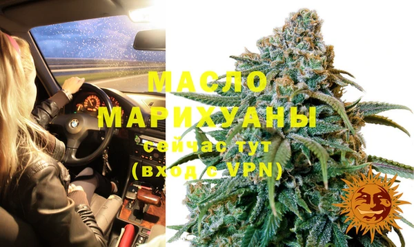 2c-b Каменка