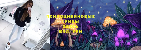 стаф Иннополис