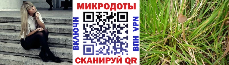 где купить наркоту мега ссылка Галлюциногенные грибы Cubensis Кировград